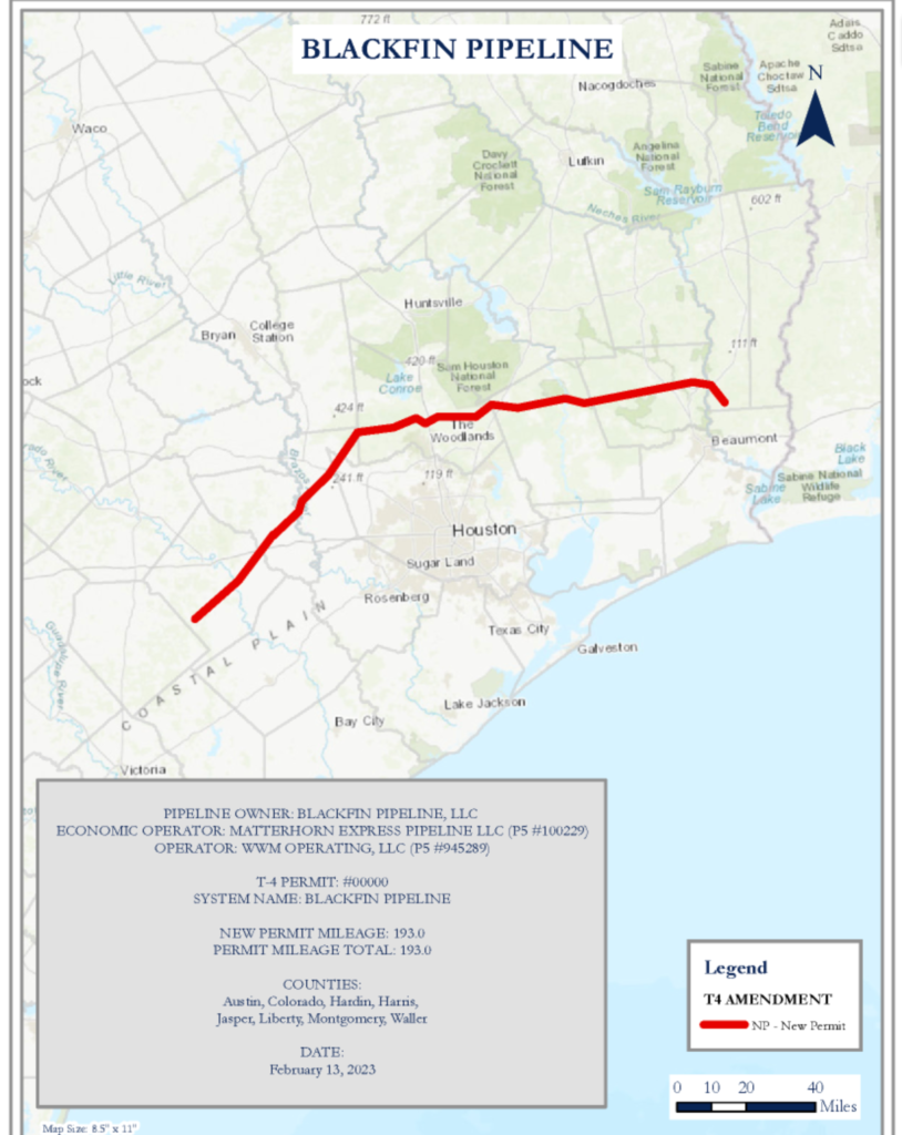 State Of The Pipeline Nov. 2024 - Hestia Fredelia