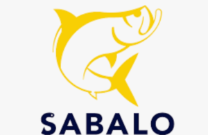 Sabalo II Operating: A Case Study in Modern Shale Development Discipline