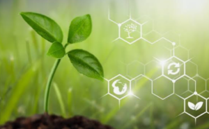 LOUISIANA GREEN FUELS LLC - Caldwell Parish, Louisiana